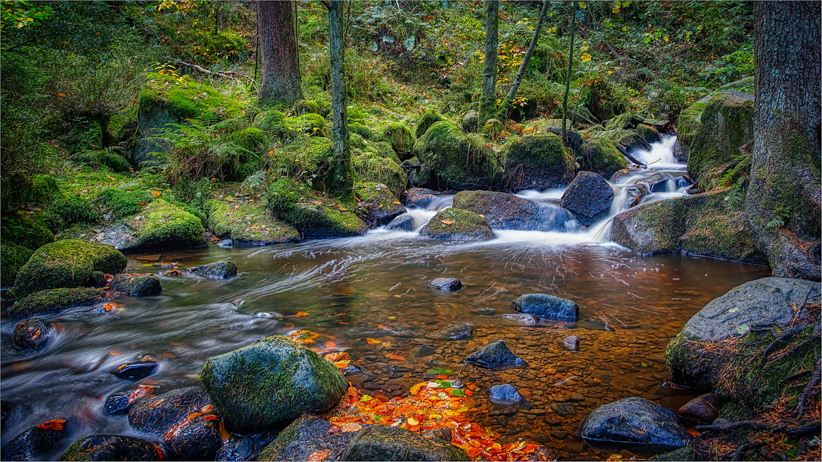 Wyming Brook, Alan Keen